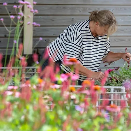 Reveille Bed & Breakfast Kleef