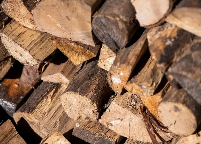 Reveille Bed & Breakfast Kleef