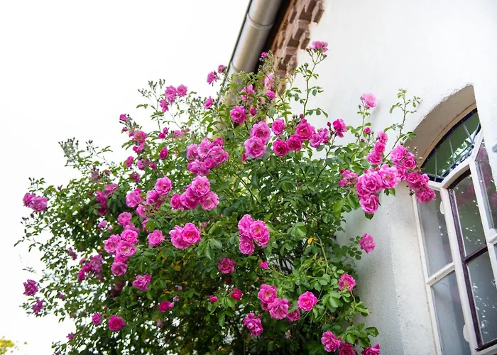 Bed & Breakfast Reveille