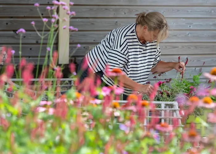 Reveille Bed & Breakfast Kleef