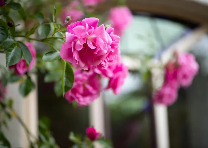 Reveille Bed & Breakfast 4*