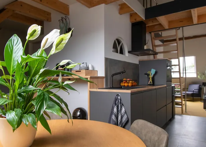 Bed & Breakfast Reveille